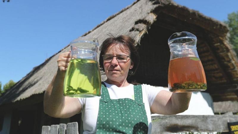 A citrom és a mentolos cukorka ideje lejárt – itt az ideje felfedezni a hétpróbás csodafegyvereket, amelyek segítenek a torokfájás és a megfázás leküzdésében!