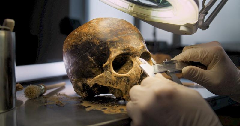 Neandervölgyi géneket ültettek be egerekbe, és ennek következtében a rágcsálók drámai átalakuláson mentek keresztül.