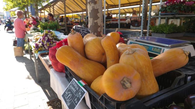 Az időjárás felelőssége, hogy a dunántúli tavon elmarad a várt tökúsztatás.