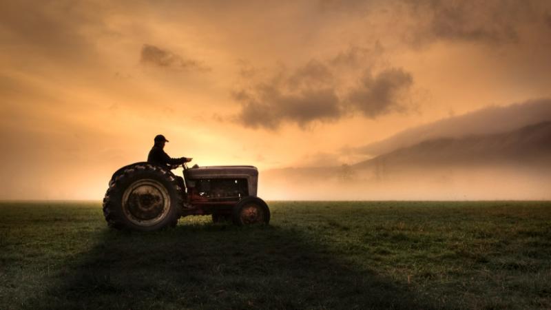 Ez a helyzet nem fest túl kedvezően: az európai mezőgazdaságban sajnos lemaradásban vagyunk - Agrárszektor.