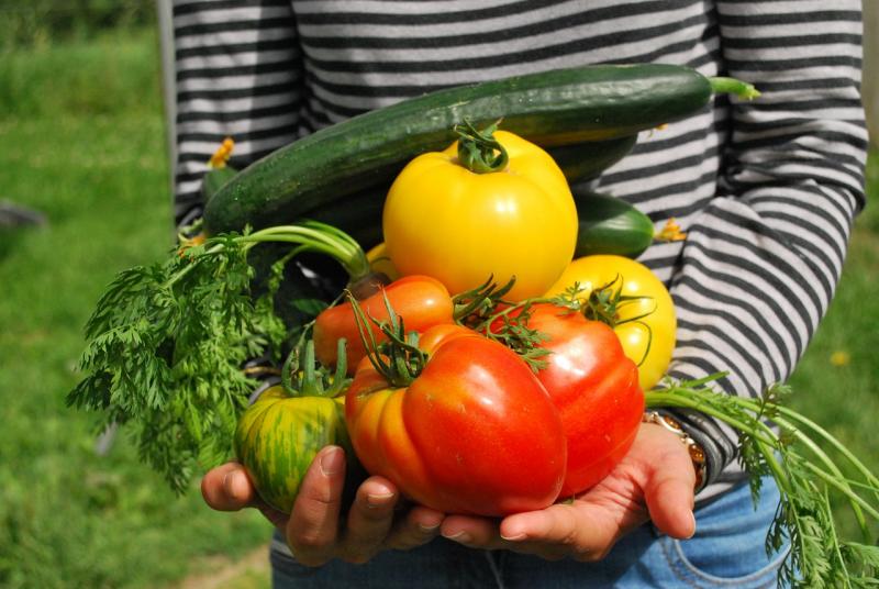 A bio piac Európában újra fellendülőben van, és Magyarország kiemelkedő pozíciót foglal el ebben a dinamikusan fejlődő szegmensben - Agrotrend.