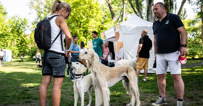 Idén valóban a szeretet ünnepévé alakult a majális.