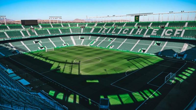 Galambok és patkányok megjelenése miatt betiltották a napraforgómag rágcsálását egy spanyol városban.