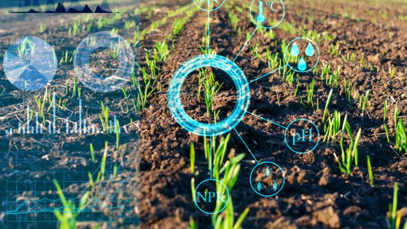 Elképesztő lehetőség: a magyar gazdák akár 1000 milliárd forintot is megtakaríthatnak ezzel az innovatív megoldással - Agro Napló