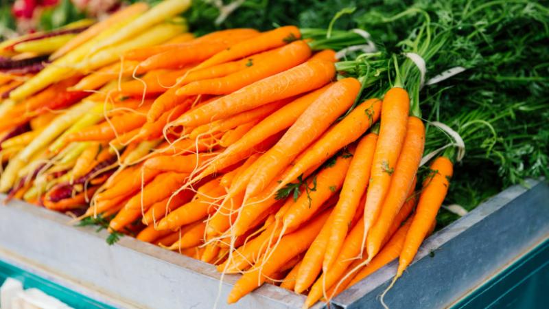 A termelők helyzete rendkívül kritikusra fordult: csupán egy megoldás kínálhat reményt a katasztrófa elkerülésére - Agrárium szektor.