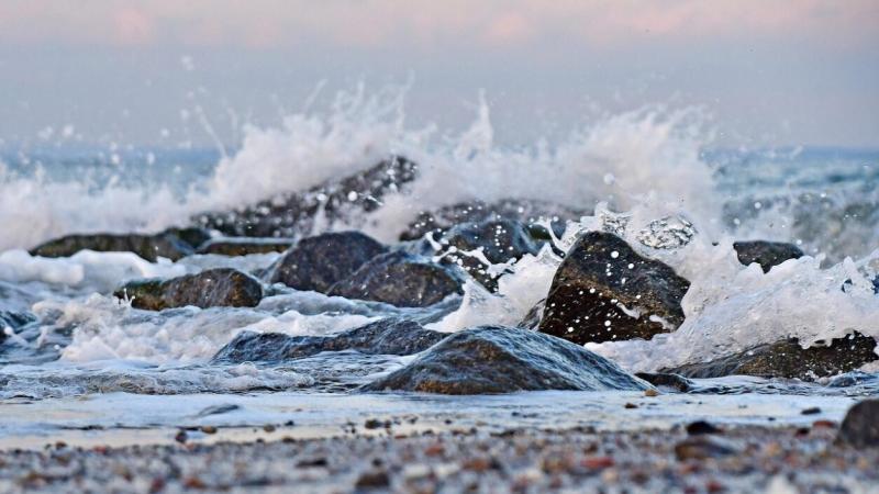 A tengeri világháborús lelőhelyeken újra életre kel a természet. Az elfeledett hajók roncsai között színes korallok és változatos tengeri élőlények bontogatják szárnyaikat, létrehozva egy különleges ökoszisztémát. A mélyben zajló harcok emlékei mára a bio