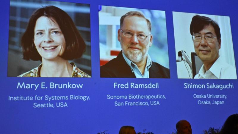 Az orvostudomány világában forradalmi áttörés történt, amely új fényt vetett arra, hogy a test miért védi meg saját sejtjeit a támadásoktól. Ez a felfedezés nem csupán tudományos érdekesség, hanem életet menthet, és immár Nobel-díjjal is elismerték. Az új