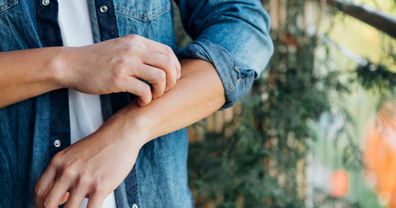 Felfedeztek egy új rovarfajt Magyarország területén, amely valószínűleg nem éppen a barátságos jószágok közé tartozik. Azok, akik véletlenül találkoznak vele, valószínűleg nem fognak örömmel fogadni ezt a különös látogatót.