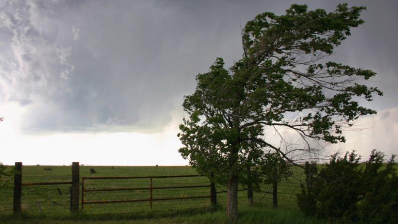 A meteorológiai szolgálat figyelmeztet: a mai nap folyamán a vihar elkerülhetetlenül megérkezik ebbe a megyébe – Agrárszektor.