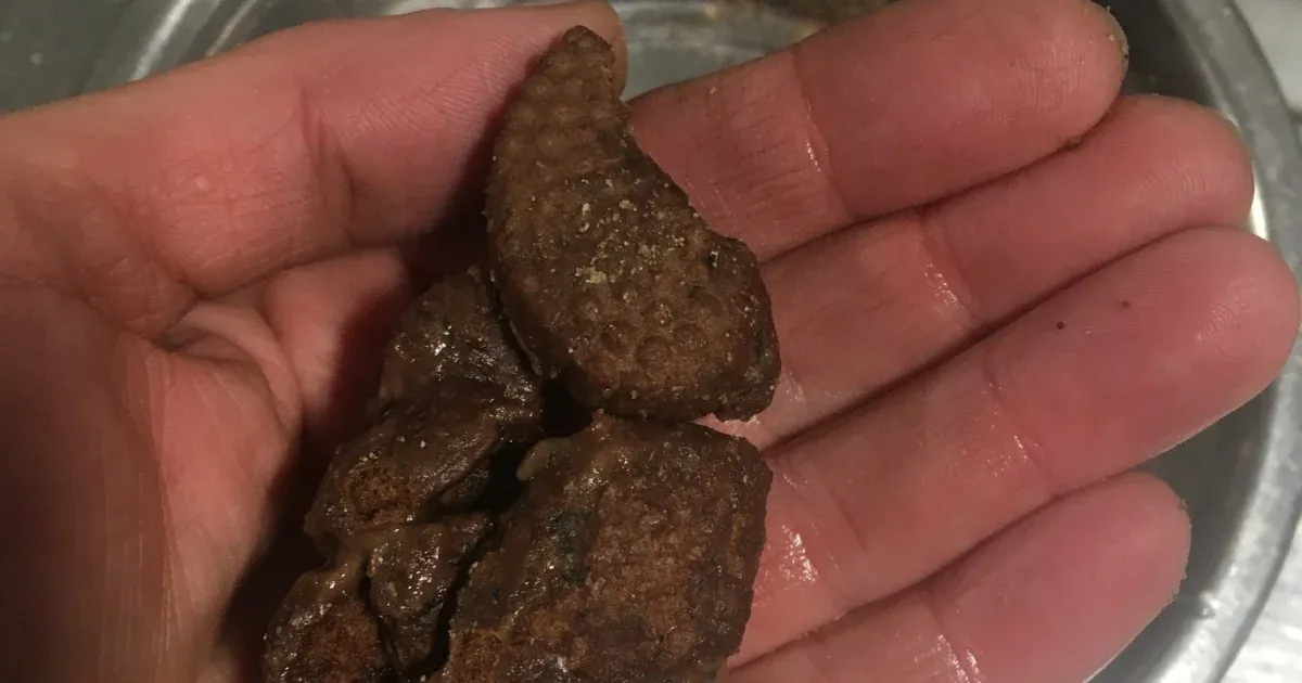 A Budakeszi Vadaspark felháborodottan reagált, mivel a látogatók egyre inkább csokis keksszel etetik az állatokat, ami súlyosan károsíthatja egészségüket.